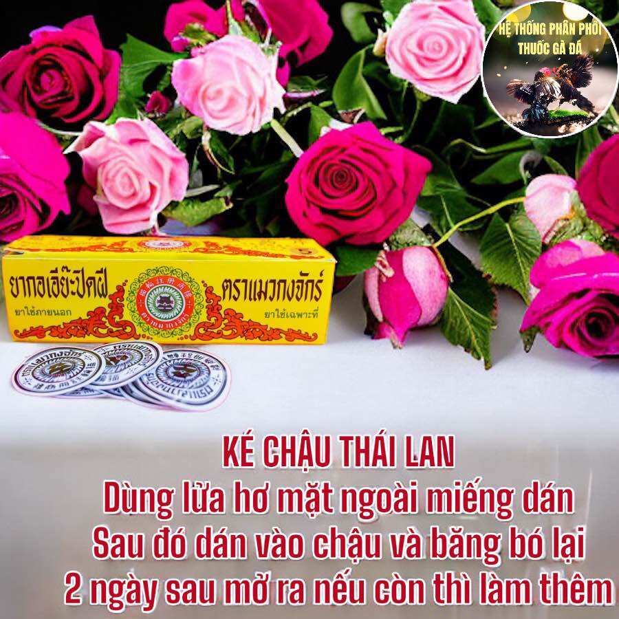 COMBO 2 MIẾNG DÁN KÉ CHẬU CHO GÀ ĐÁ