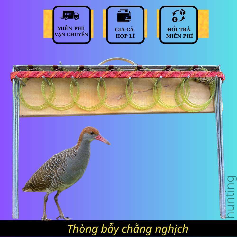Thòng bẫy chằng nghịch mắt đỏ vòng 6cm bộ 7khung mỗi khung 7 vòng