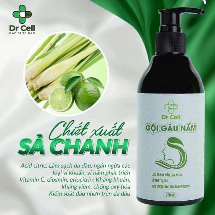 Gội Gàu Nấm DR CELL 250ml