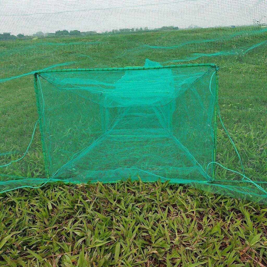Đăng chặn sông, cống - bắt tôm tép tất cả các loại cá - Dớn bắt cá, cua, lươn