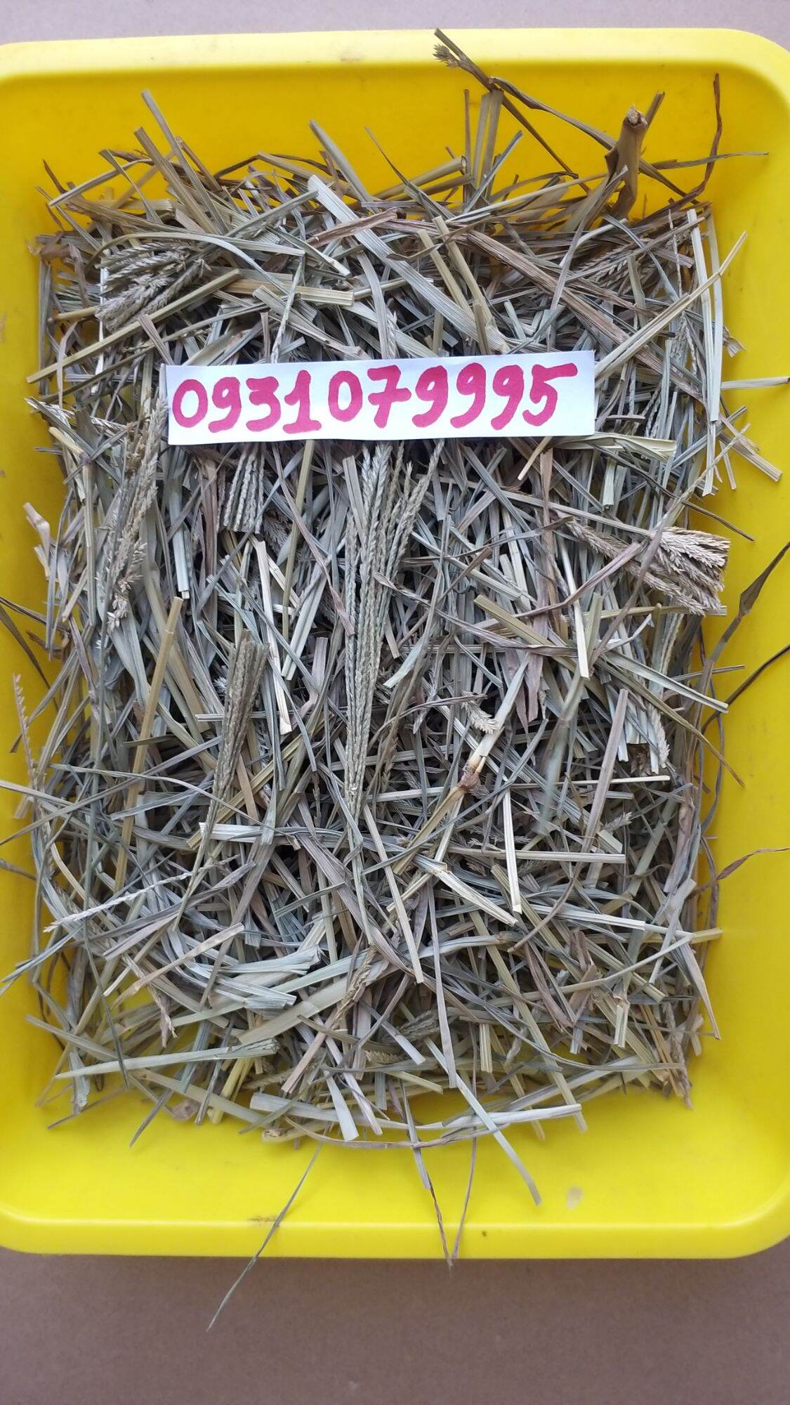cây cỏ mần chầu phơi khô 1kg