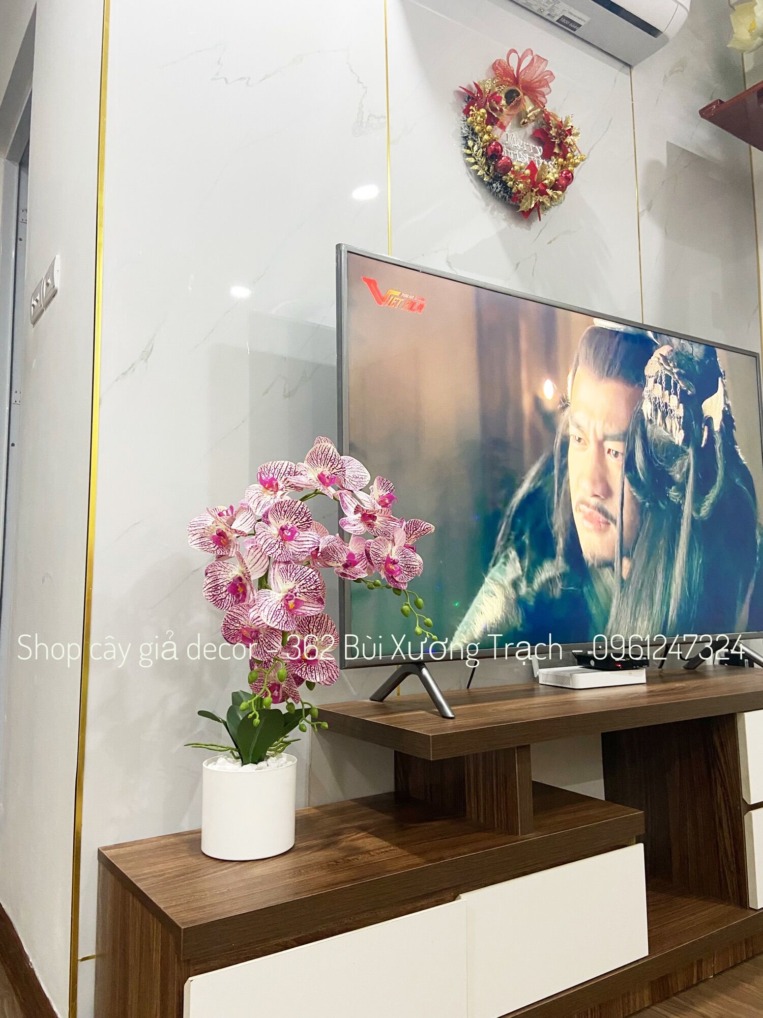 Combo hoa lan cao su + chậu + sỏi y hình - hoa lụa decor
