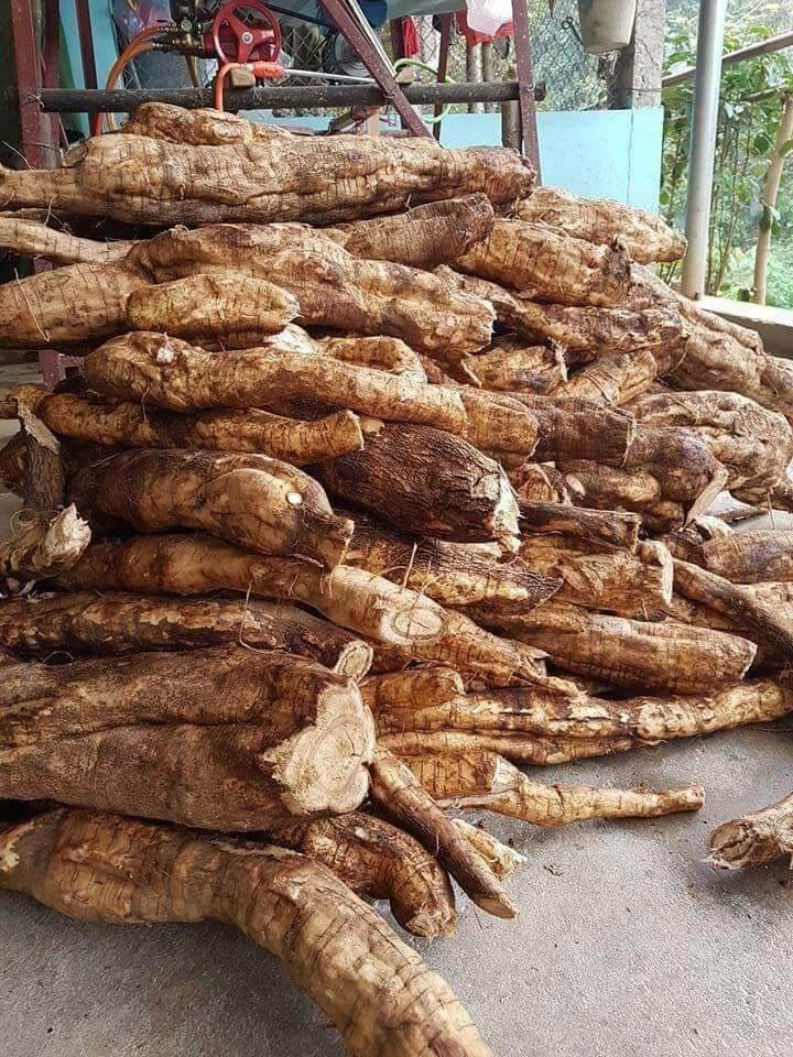 Bột sắn dây nguyên chất 500g