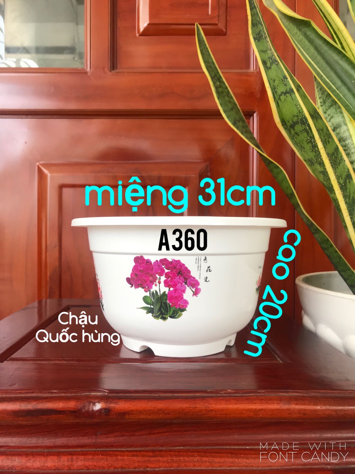 Combo 5 chậu a360