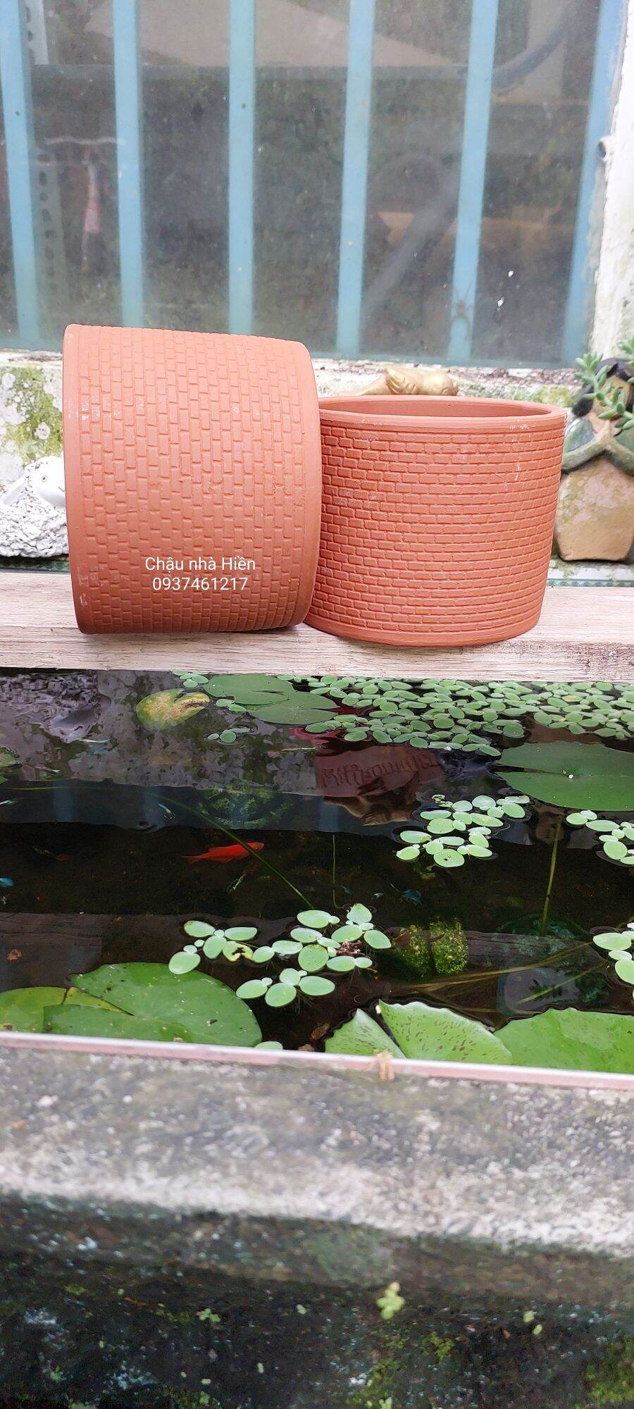 Chậu đất nung Bình Dương hình trụ da rắn m12.5 x c9.5