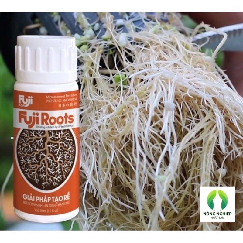 Phân kích rễ Fuji Roots Japan đậm đặc - Dưỡng rễ không khô rễ 50ml