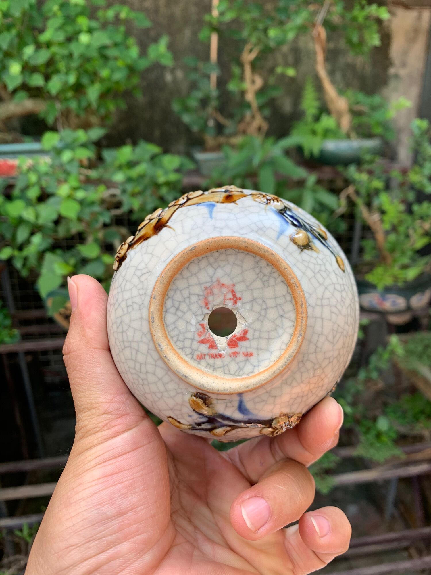 Chậu trồng cây bonsai mini