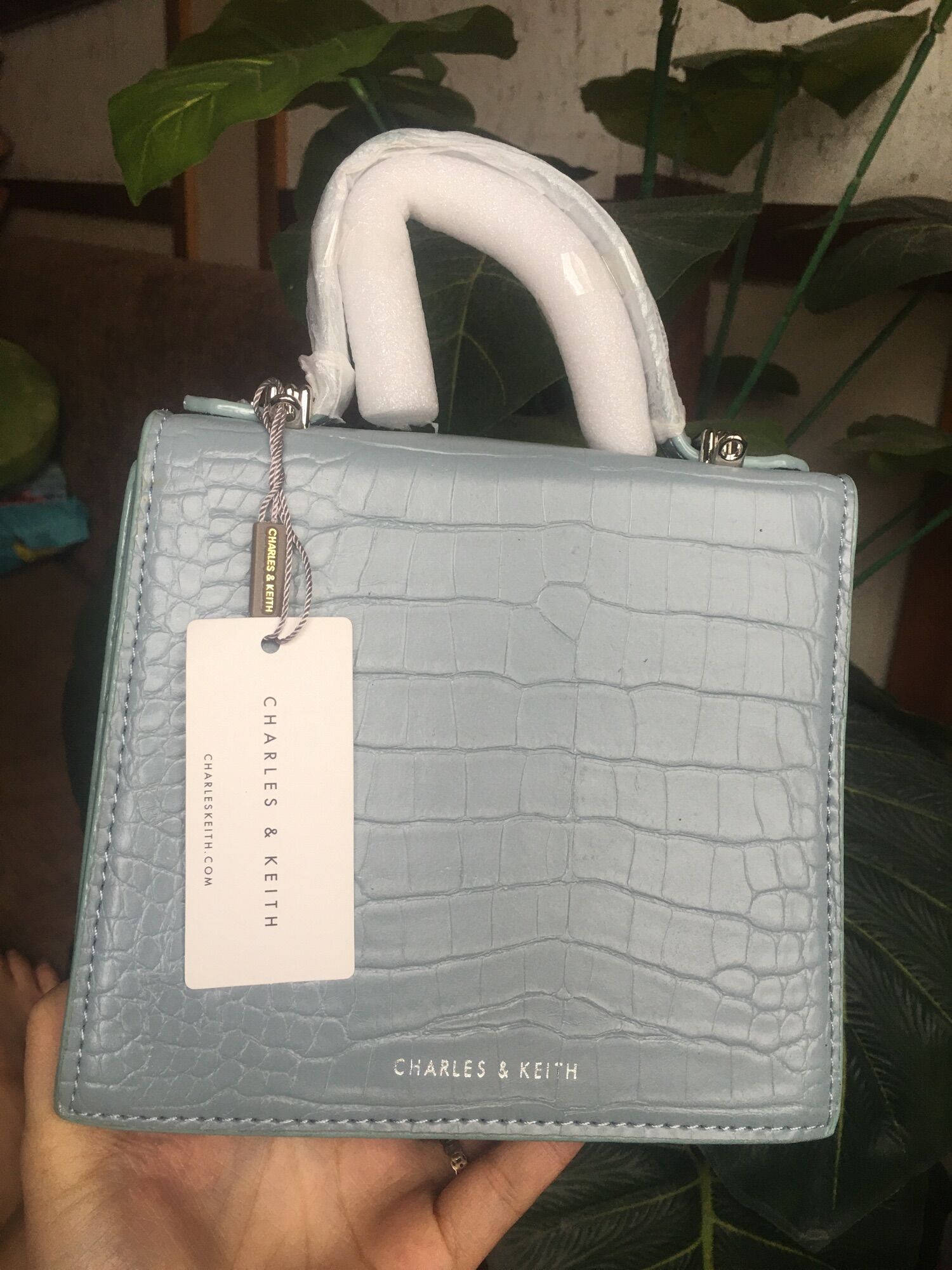 T&uacute;i charles &amp; keith