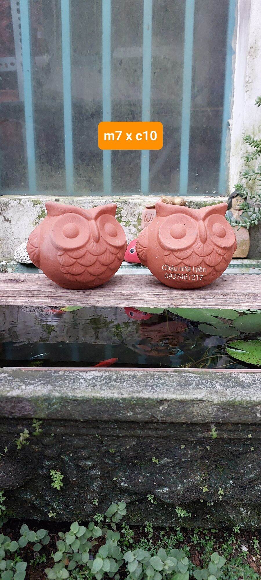Chậu đất nung Bình Dương hình cú banh đuôi dài