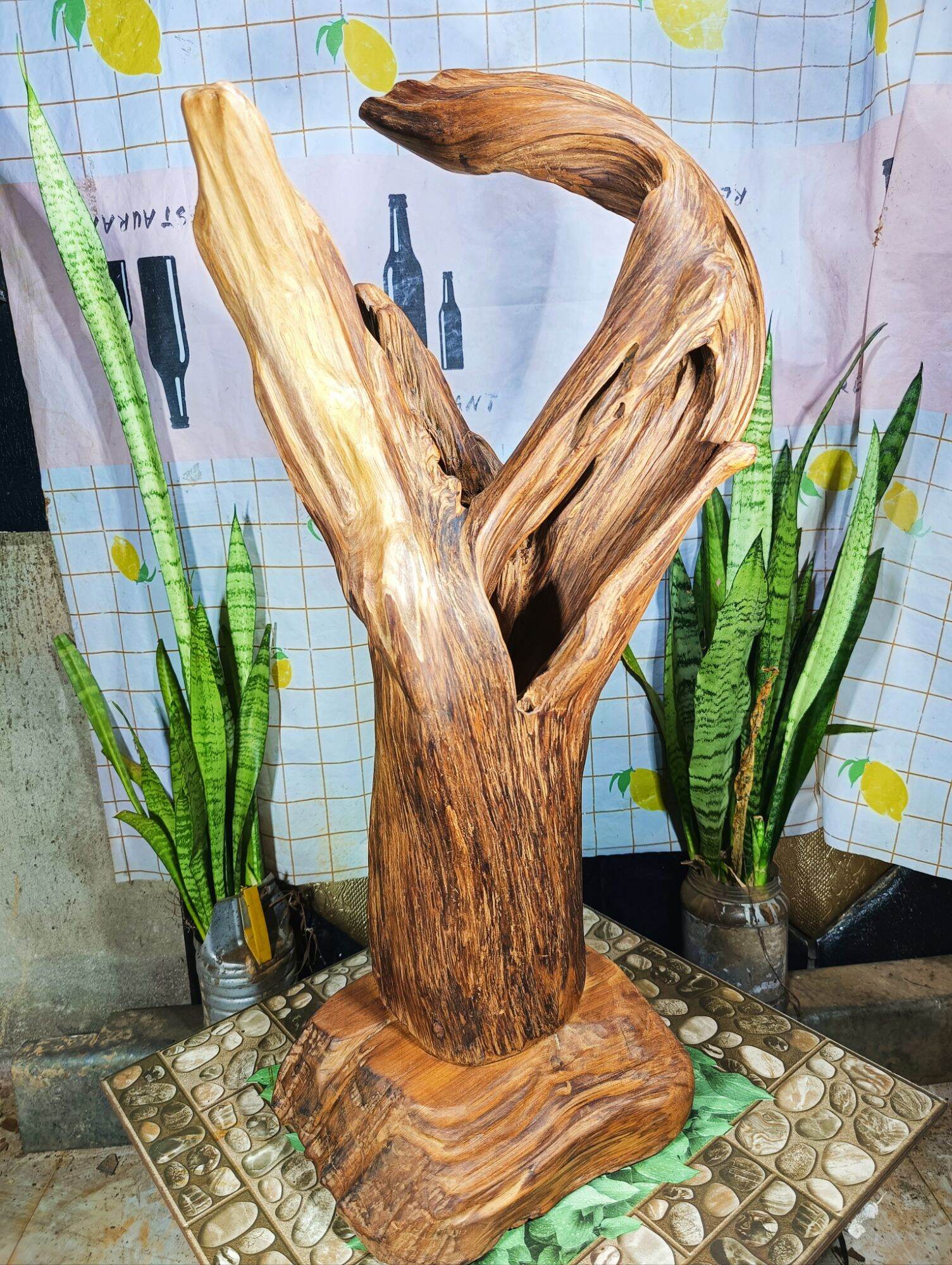 lũa gỗ thơm ngọc am đỏ hà giang