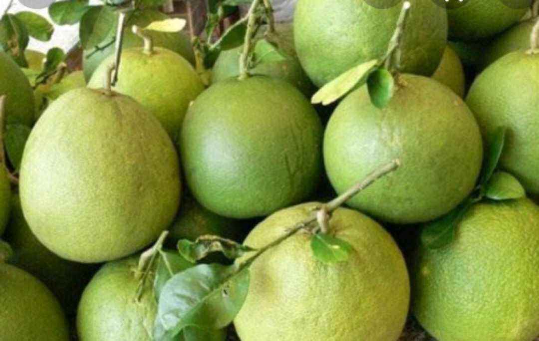 Viên vỏ bưởi giảm cân