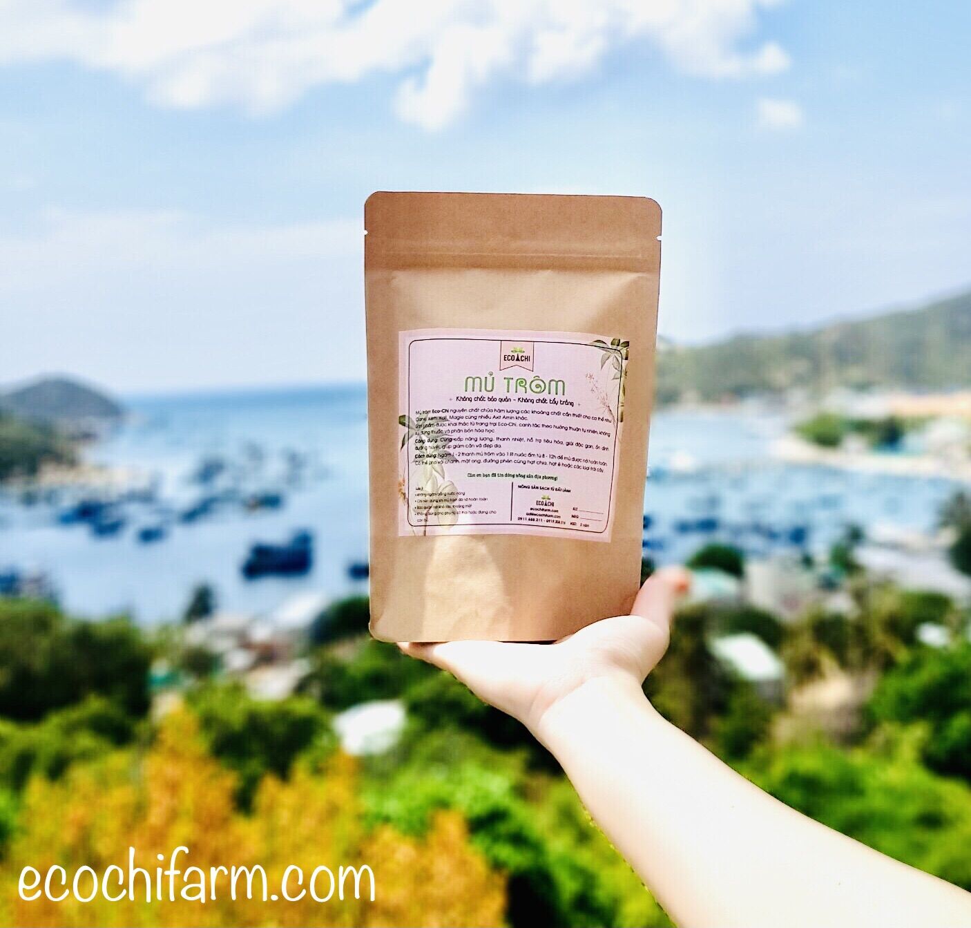 Combo 3 túi mủ trôm sạch nguyên chất Ecochi (350g x 3)