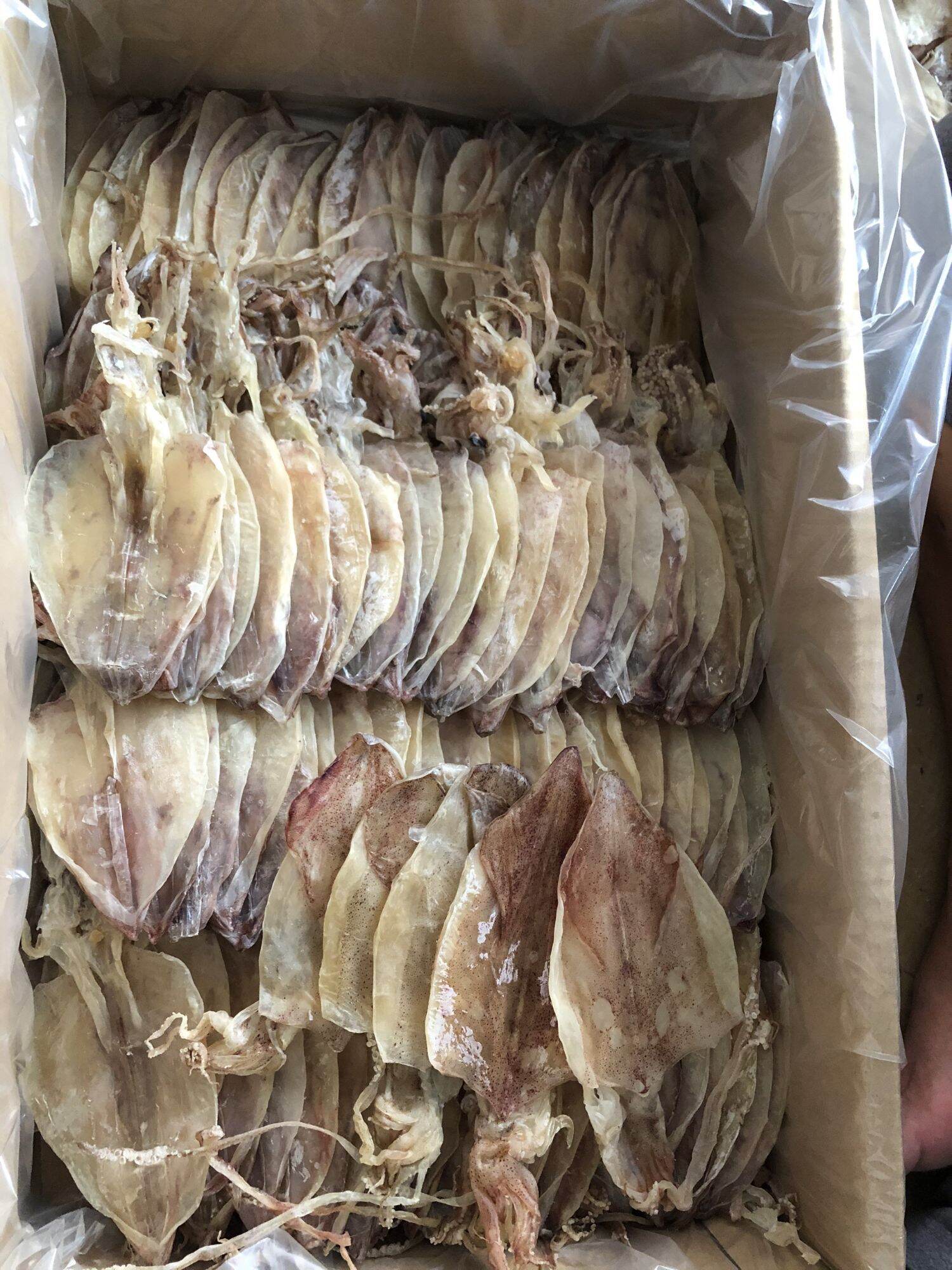 KHÔ MỰC 45-50 con/ 500g