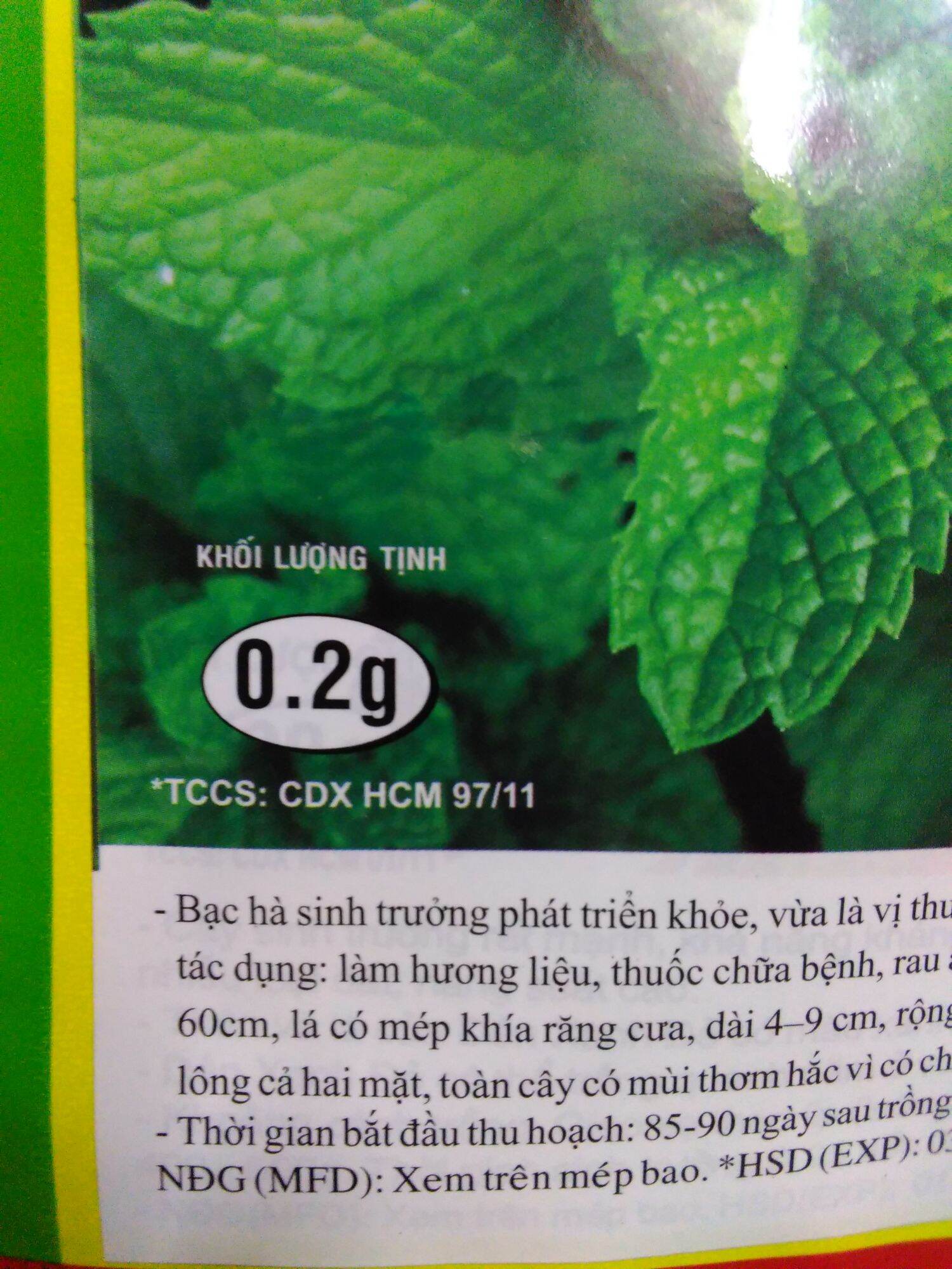 Hạt giống Húng Lũi ( bạc hà) 0,2gr