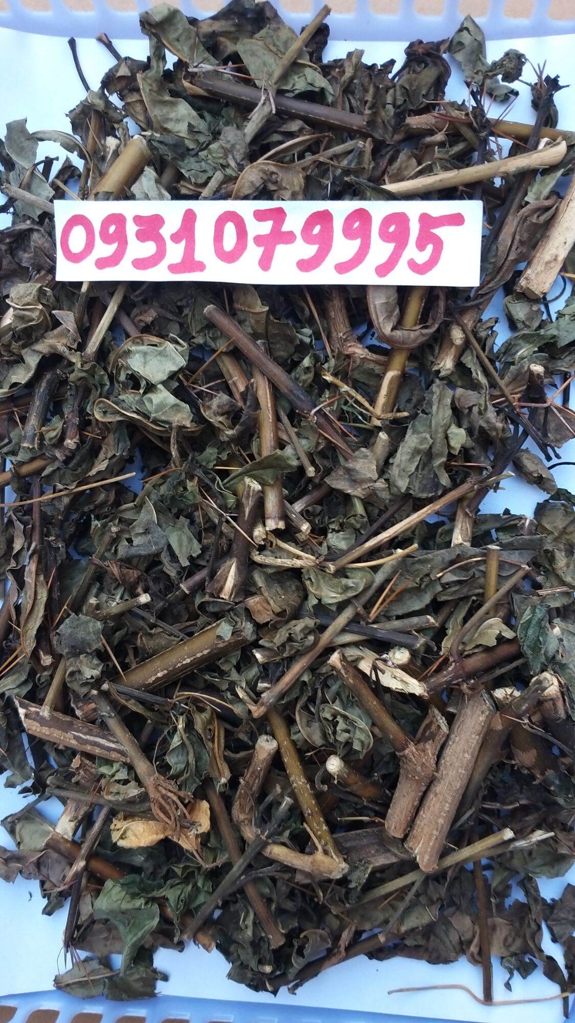 cây kim vàng phơi khô 1kg