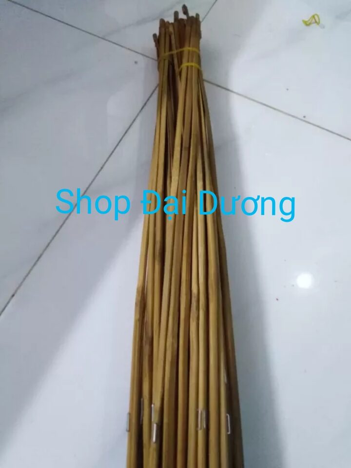 BỘ 50 CÂY CẦN CÂU CẮM KO LƯỠI XỊN