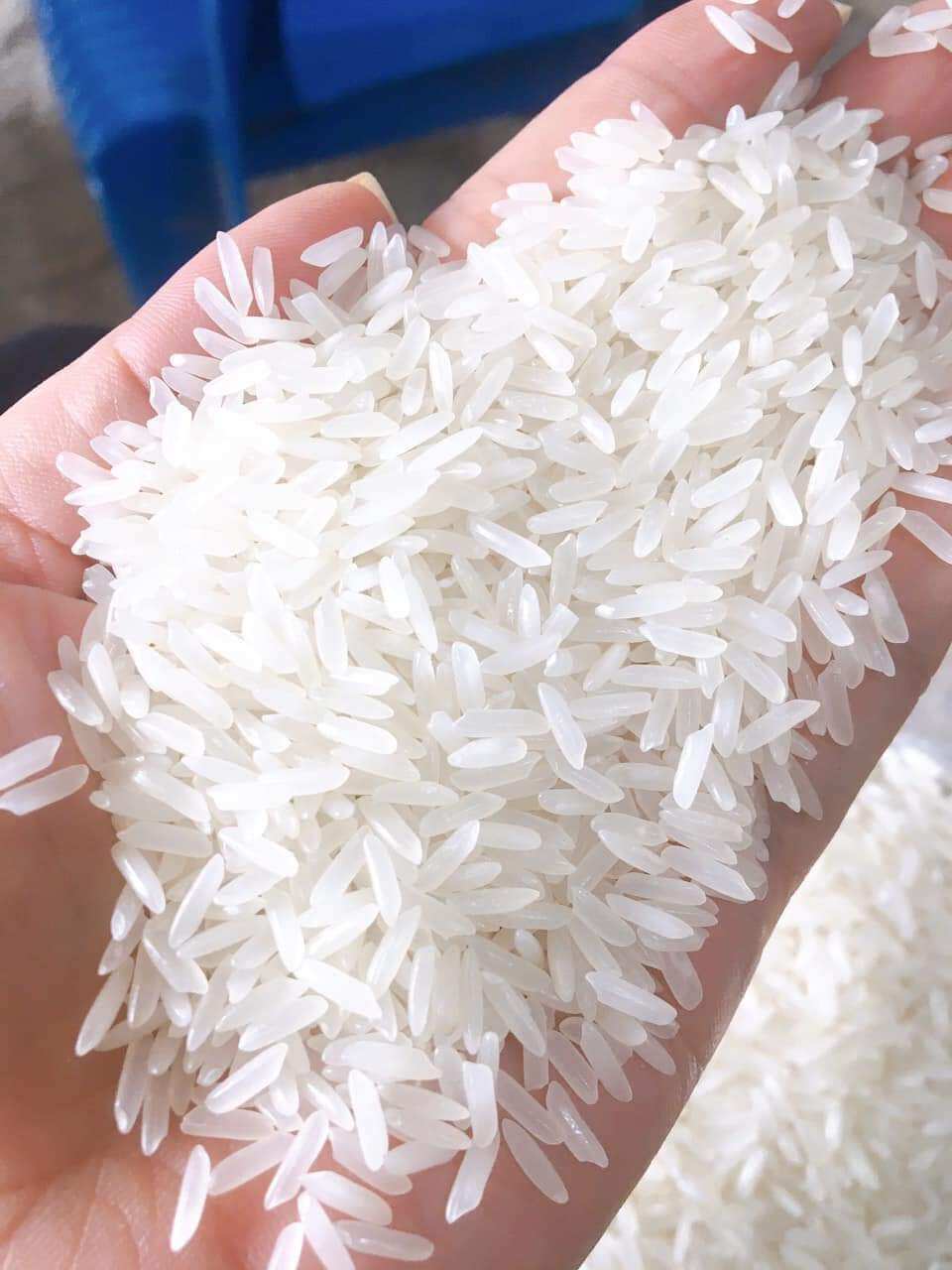 Gạo Nàng Thơm Chợ Đào (Túi 5kg) - Dẻo mềm,thơm ngọt cơm.