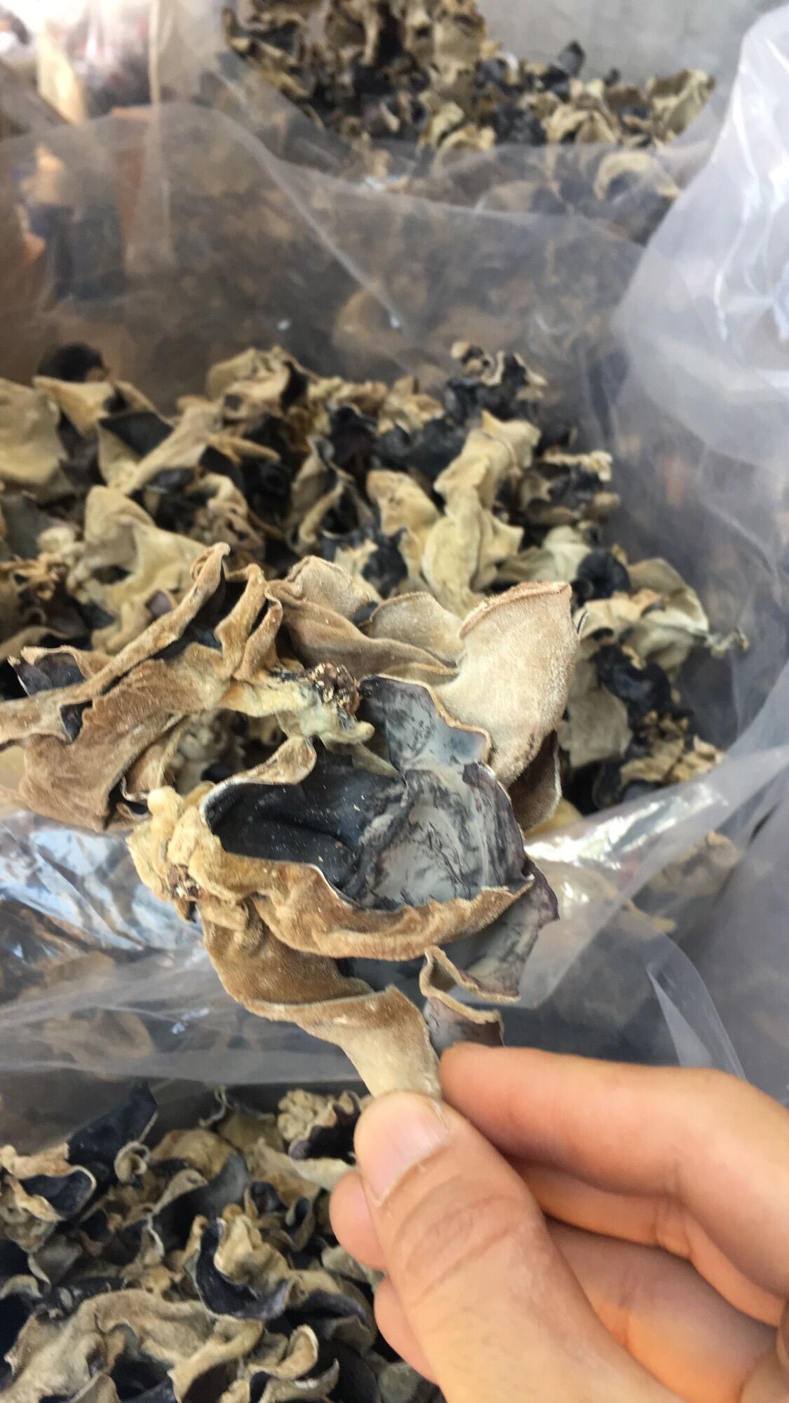 Mộc nhĩ đã cắt chân gói 1kg