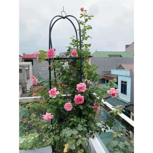 Khung Tháp trụ đỡ hoa leo cây cảnh