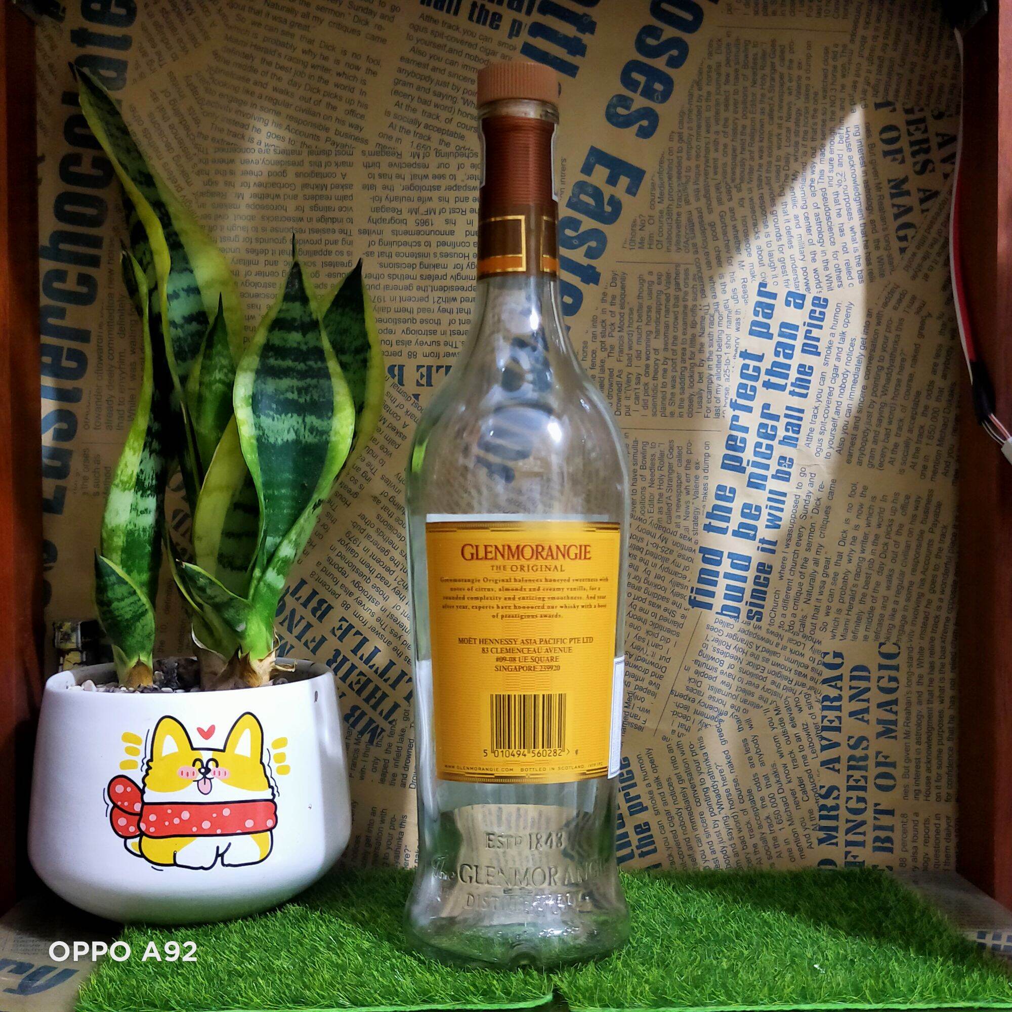 Vỏ chai thủy tinh Glenmorangie dáng cao