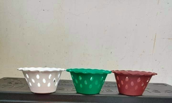 chậu nhựa trồng lan phi 16 miệng bèo 3 màu