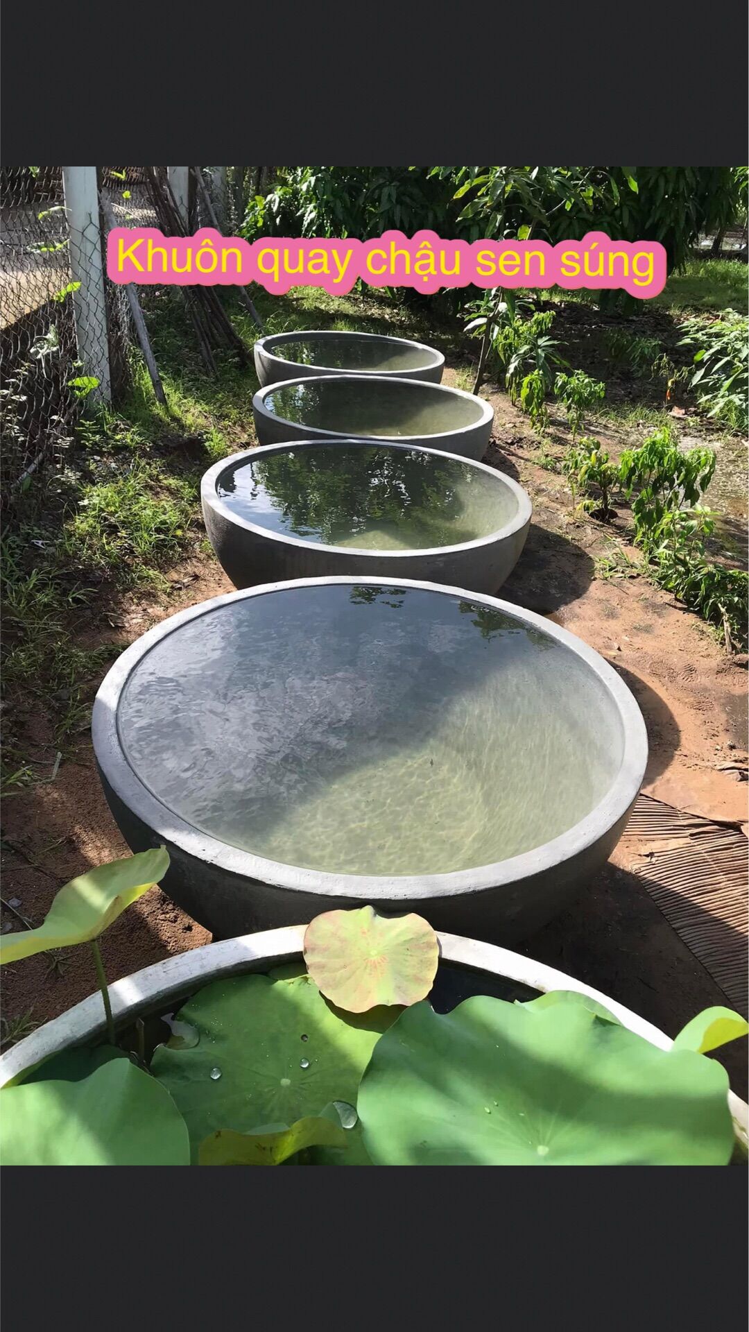 Khuôn quay chậu sen, chậu sung ,chậu cao 45 cm,đường kính chậu có thể tăng to nhỏ 70cm đến 1,2m