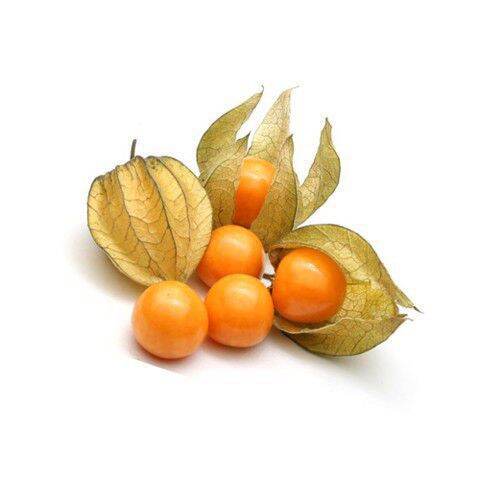 1kg cây tầm bóp khô (cây thù lù) HB193