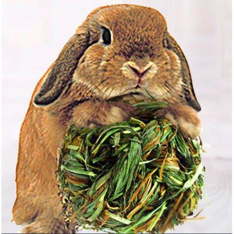 Bóng Cỏ làm từ cỏ lúa mạch, cỏ yến mạch cho Thỏ,Guinea Pig