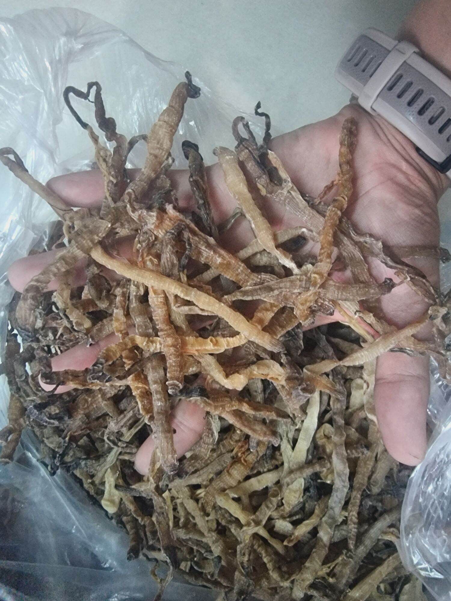 [Nhập RS0822 giảm 30k cho đơn 99k]Sá Sùng Khô Quan Lạn - Quảng Ninh [chuyên nấu phở].