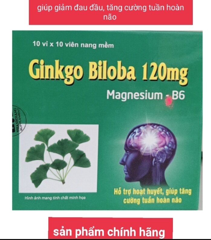 GinKgo Biloba-magnesium-B6