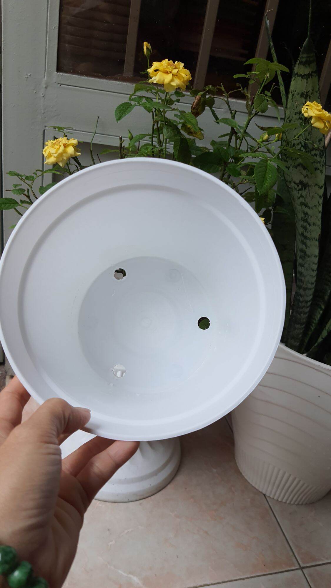 chậu nhựa vân gỗ size 18cm