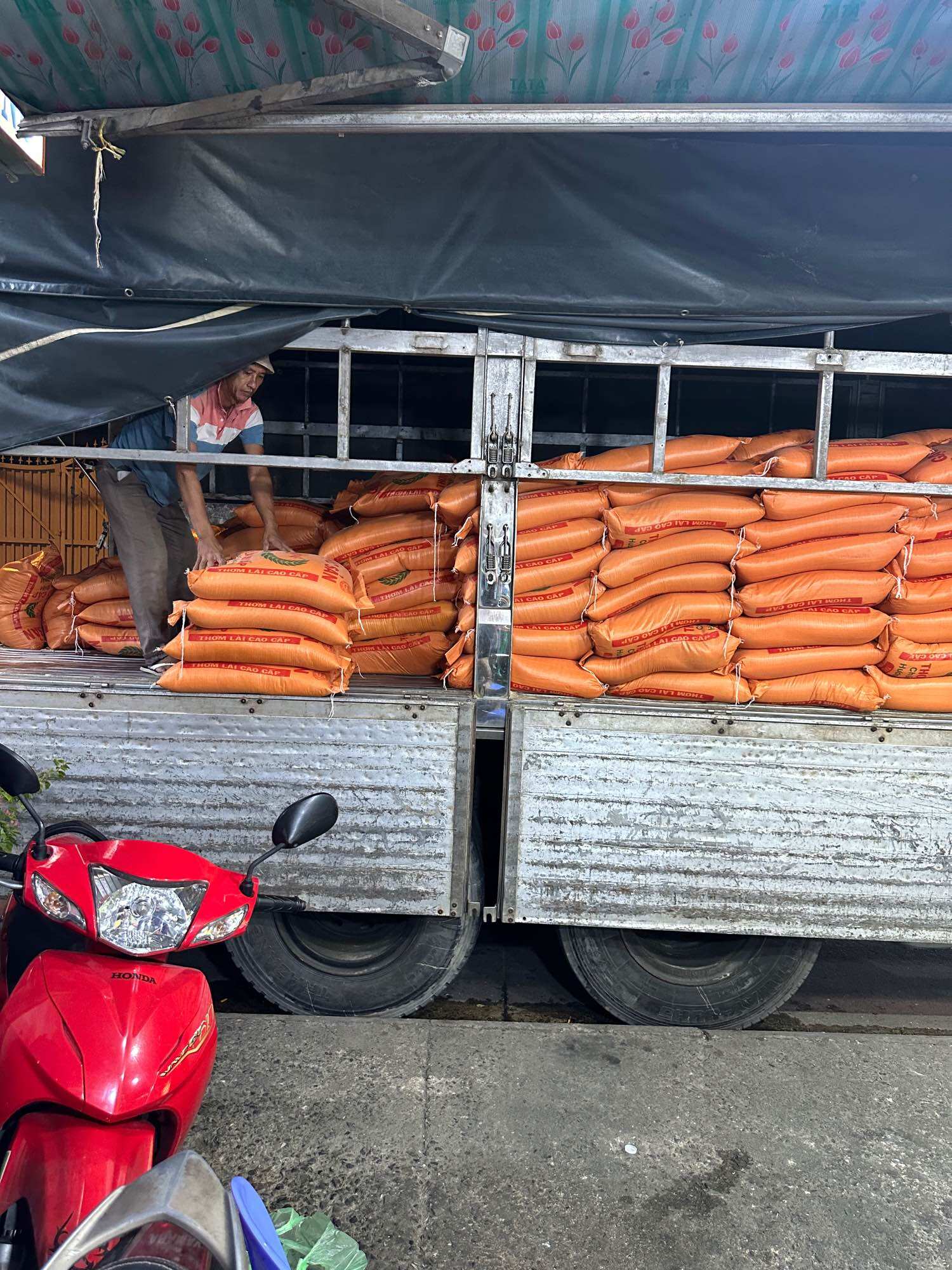 Gạo Thơm Lài Thái ,Dẻo ,Mềm ,Thơm Ngọt Cơm (Túi 10Ky)