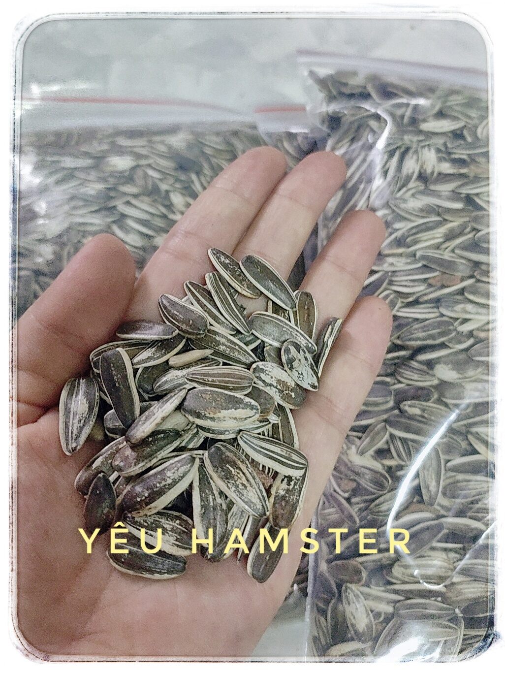 500GR-Hướng dương sọc- thức ăn cho Hamster, vẹt,chim, nhím,thú cưng