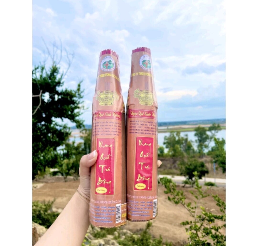 Nhang Phổ Thông Lá Quế 38cm/bó 220cay -Hương Quế Trà Bồng