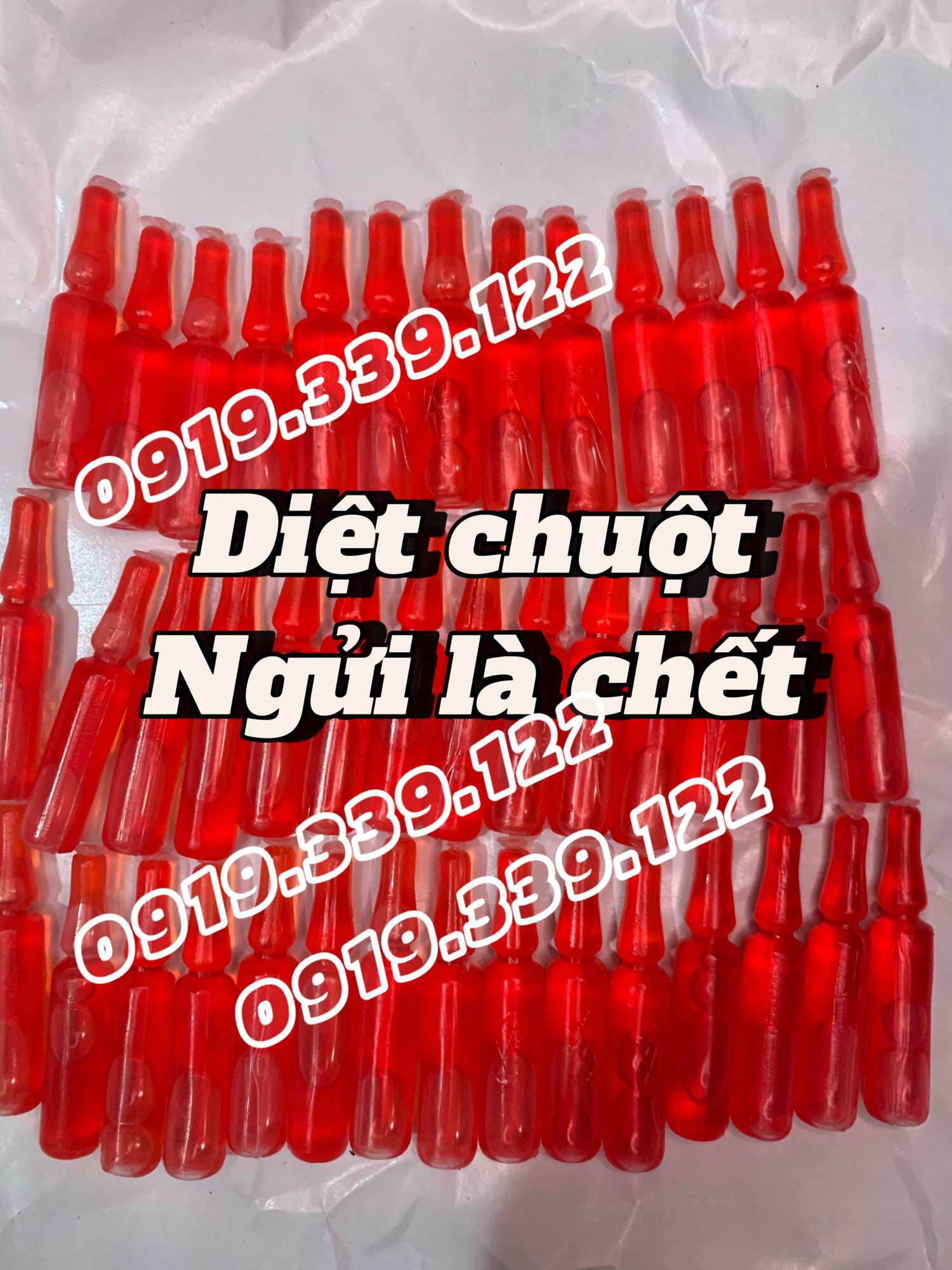 [xả kho] Thuốc chuột ống chết nhanh, chết tại chổ