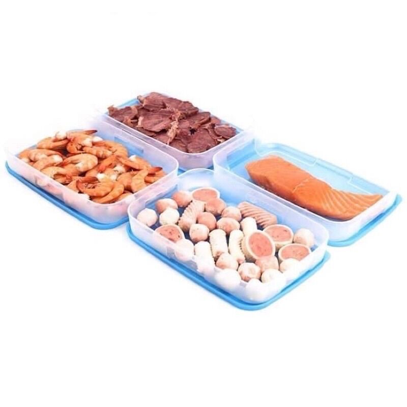 Hộp Trữ Đ&ocirc;ng Freezermate Dẹt 650ml Tupperware, Hộp Nhựa Nguy&ecirc;n Sinh