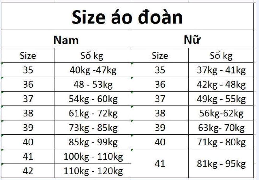 [HCM]Áo Đoàn Nữ Tay Dài Logo Thêu
