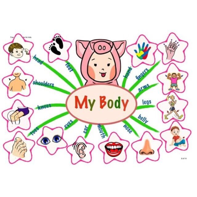 Flash card - Sơ đồ tư duy Mindmap 11 chủ đề cho bé khổ A3