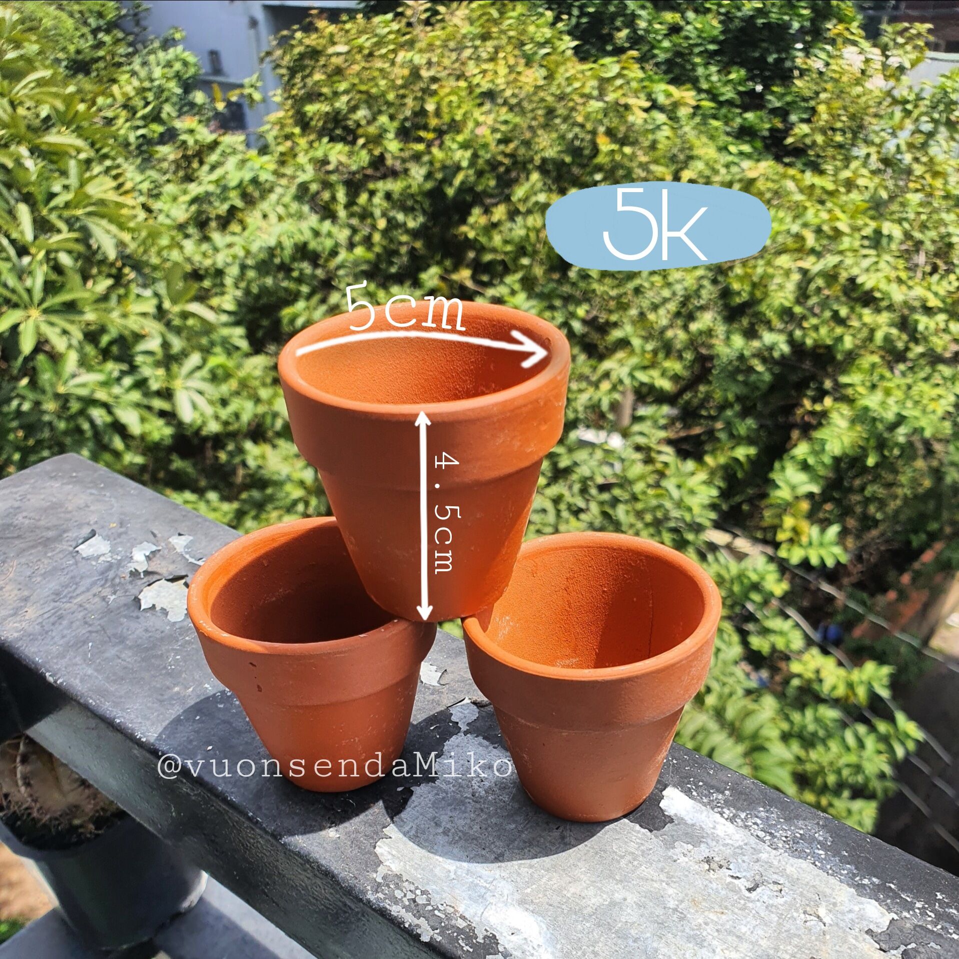 5 Chậu đất nung đỏ trồng Sen Đá và Xương Rồng size mini 5x4.5cm