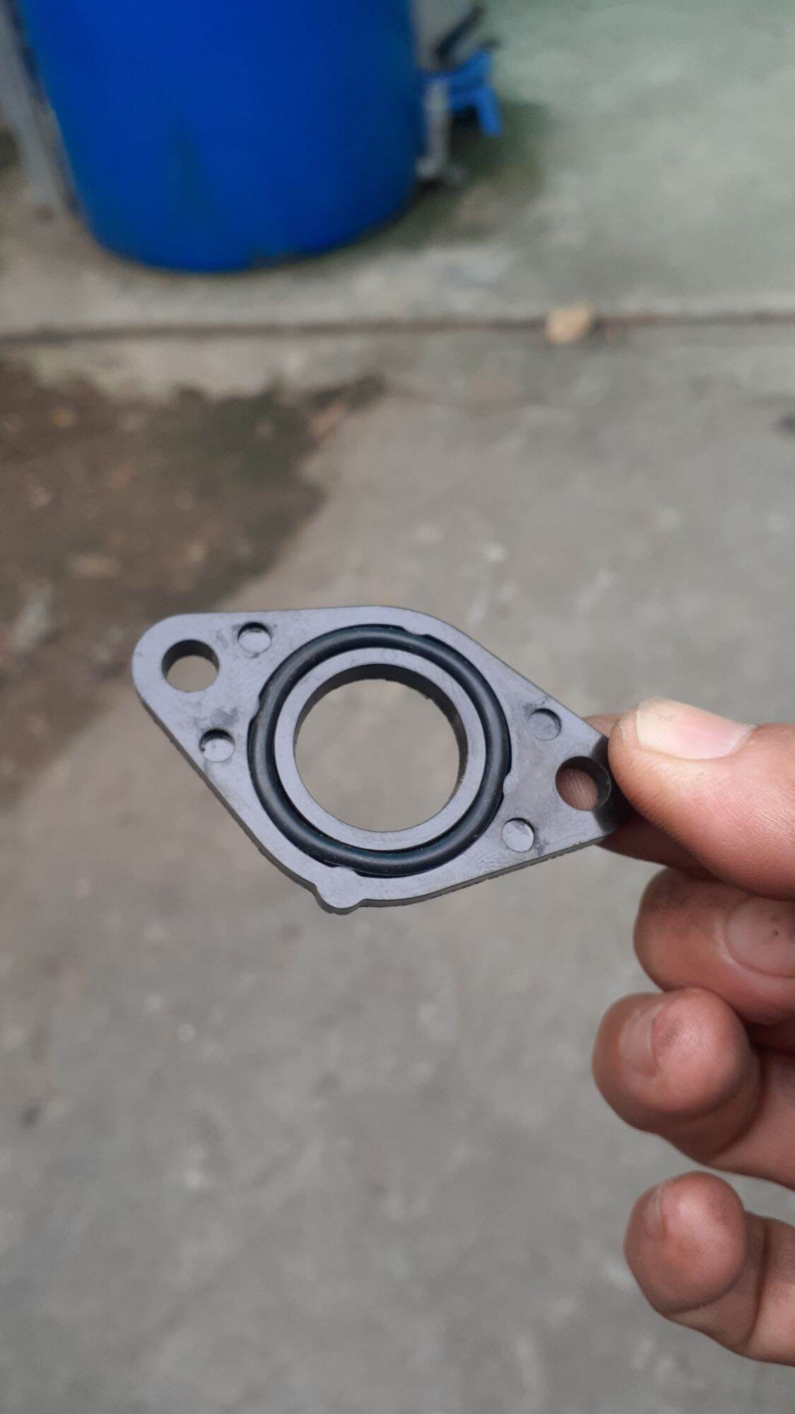 Phíp trên co xăng xịn