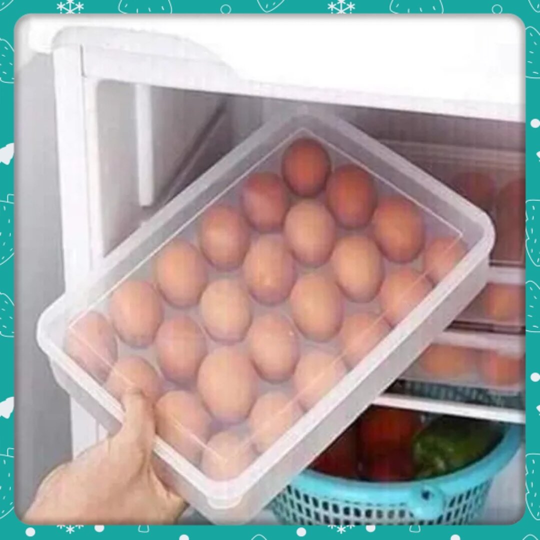 HỘP ĐỰNG TRỨNG 24 QUẢ VIỆT NHẬT