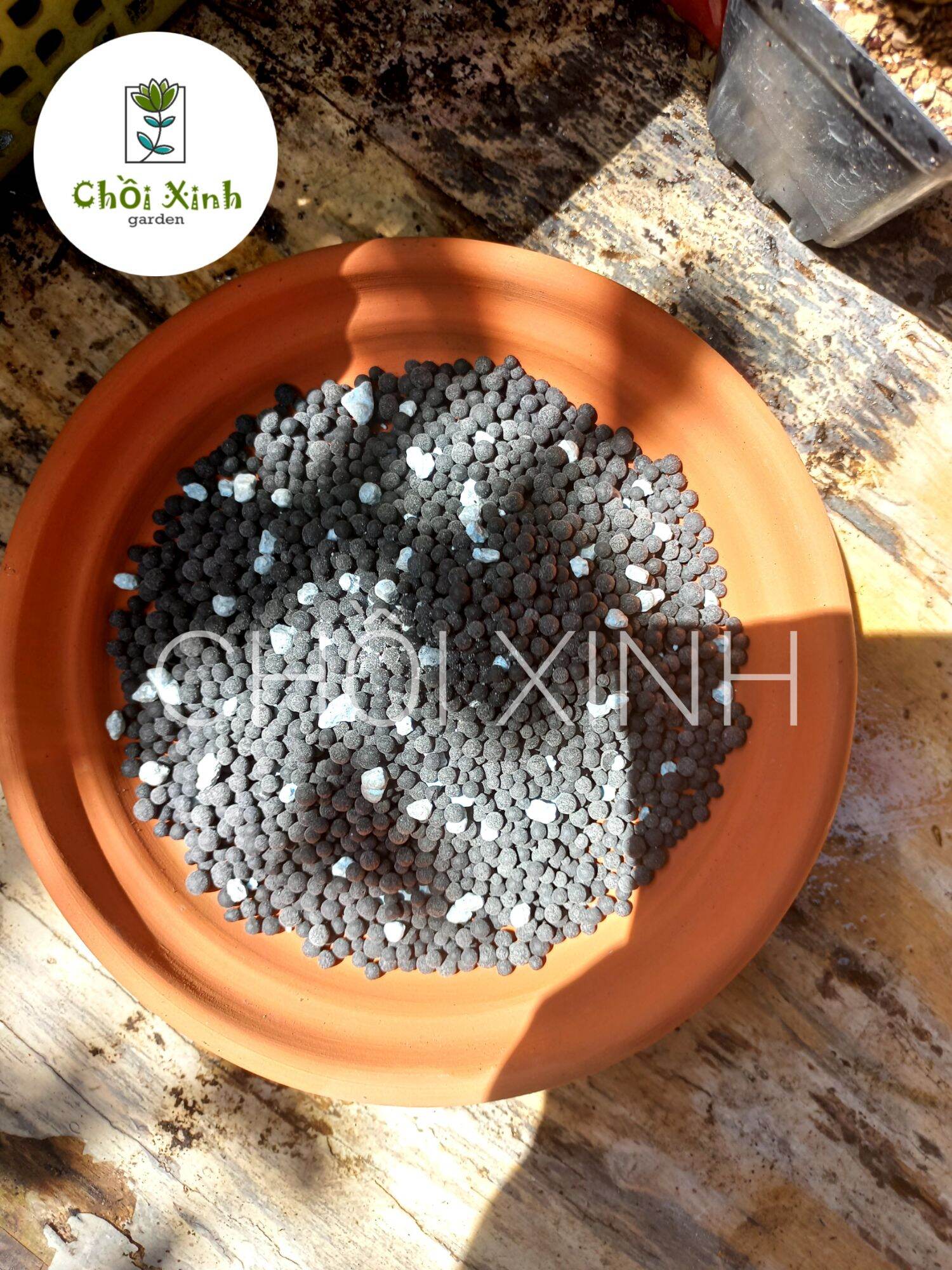 Phân Bón Tan Chậm Cho Sen Đá Xương Rồng mập ú ( 150g )