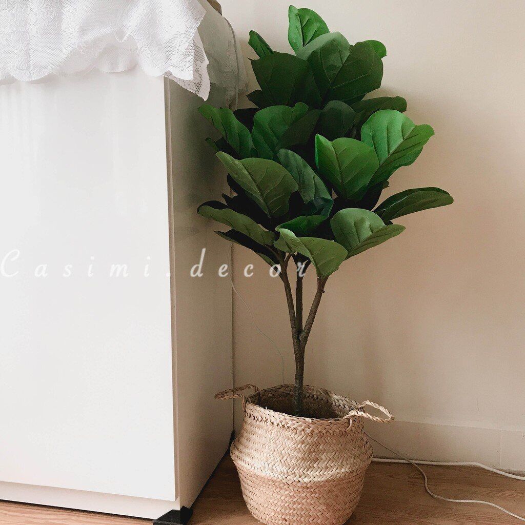 Cây giả, cây bàng singapore cao 1m