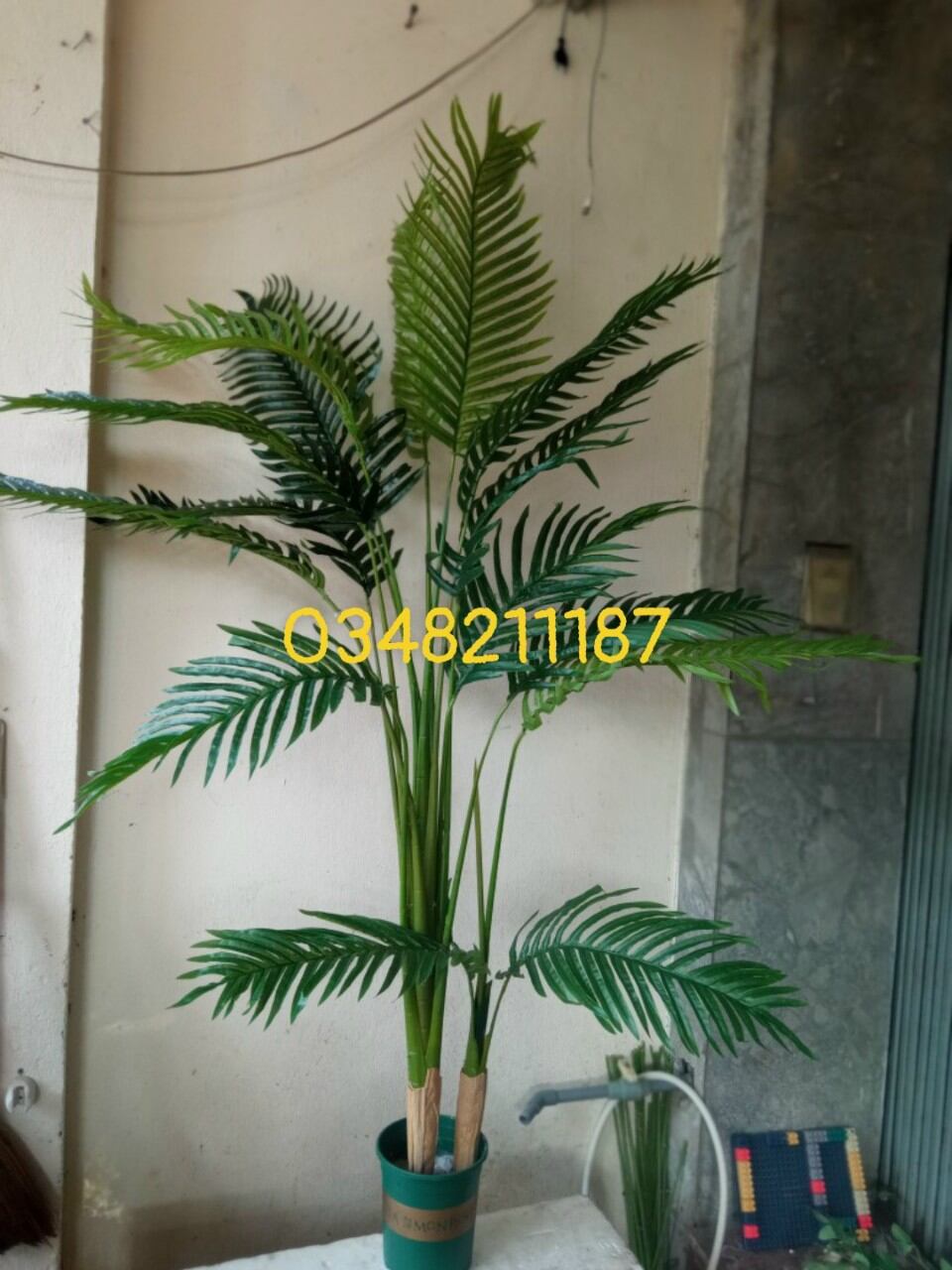 cây giả cây dừa cảnh cao 1.55met - 1,8m