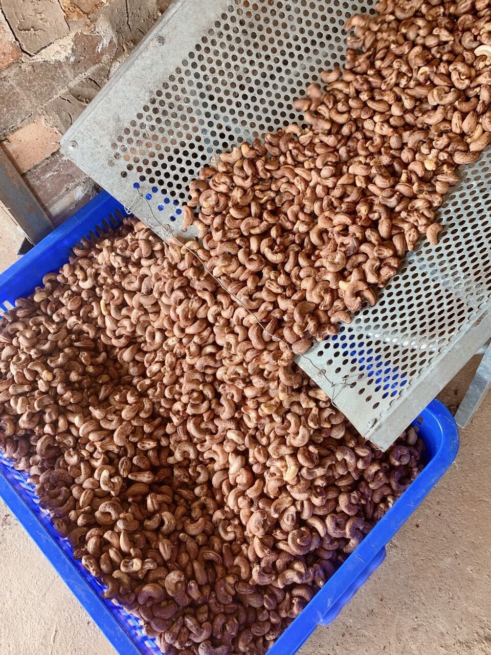Hạt điều rang muối Bình Phước loại A cồ 500g
