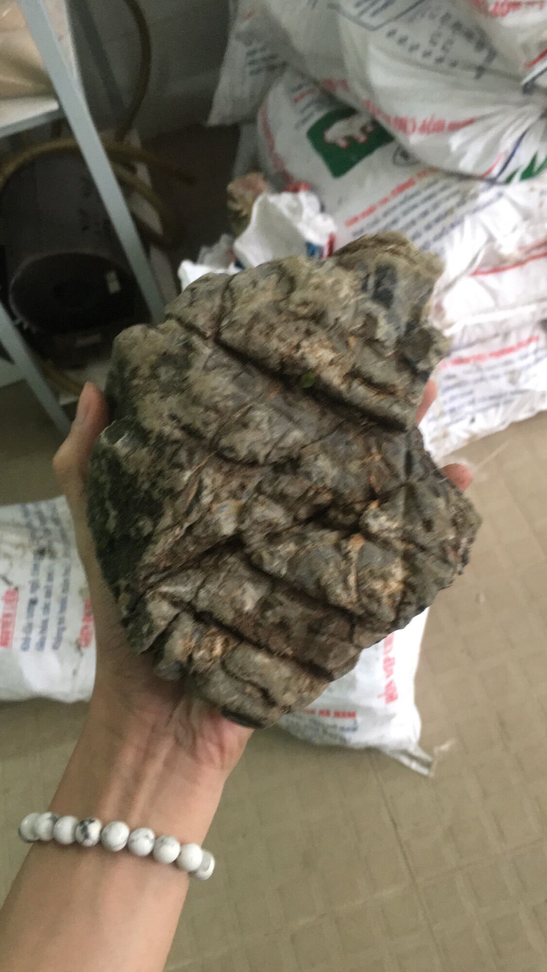 Đá da voi thuỷ sinh size 10-20cm