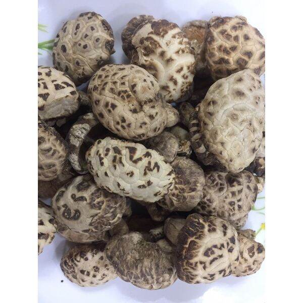 500g nấm đông cô