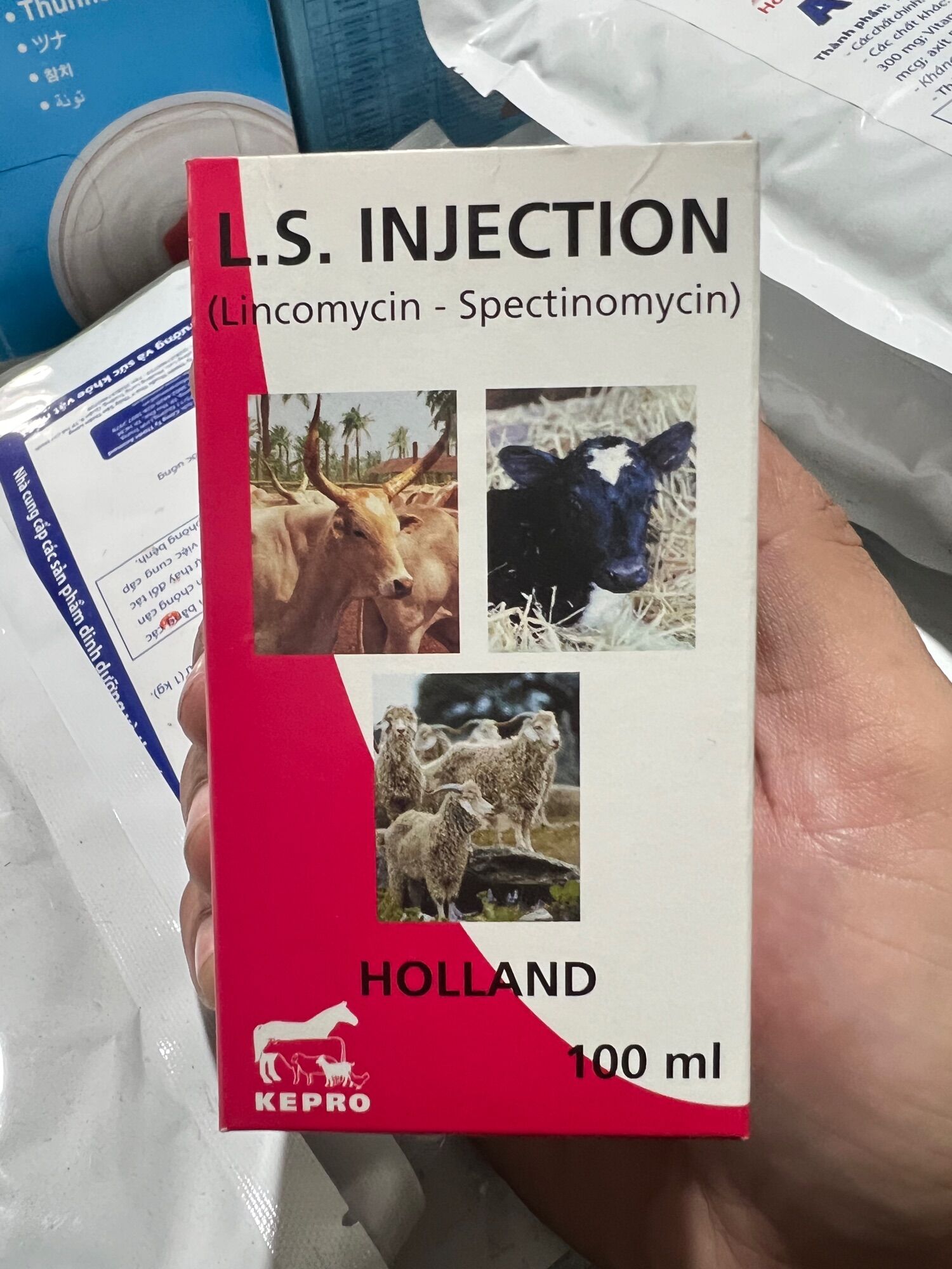 L.S INJECTION 100ml
