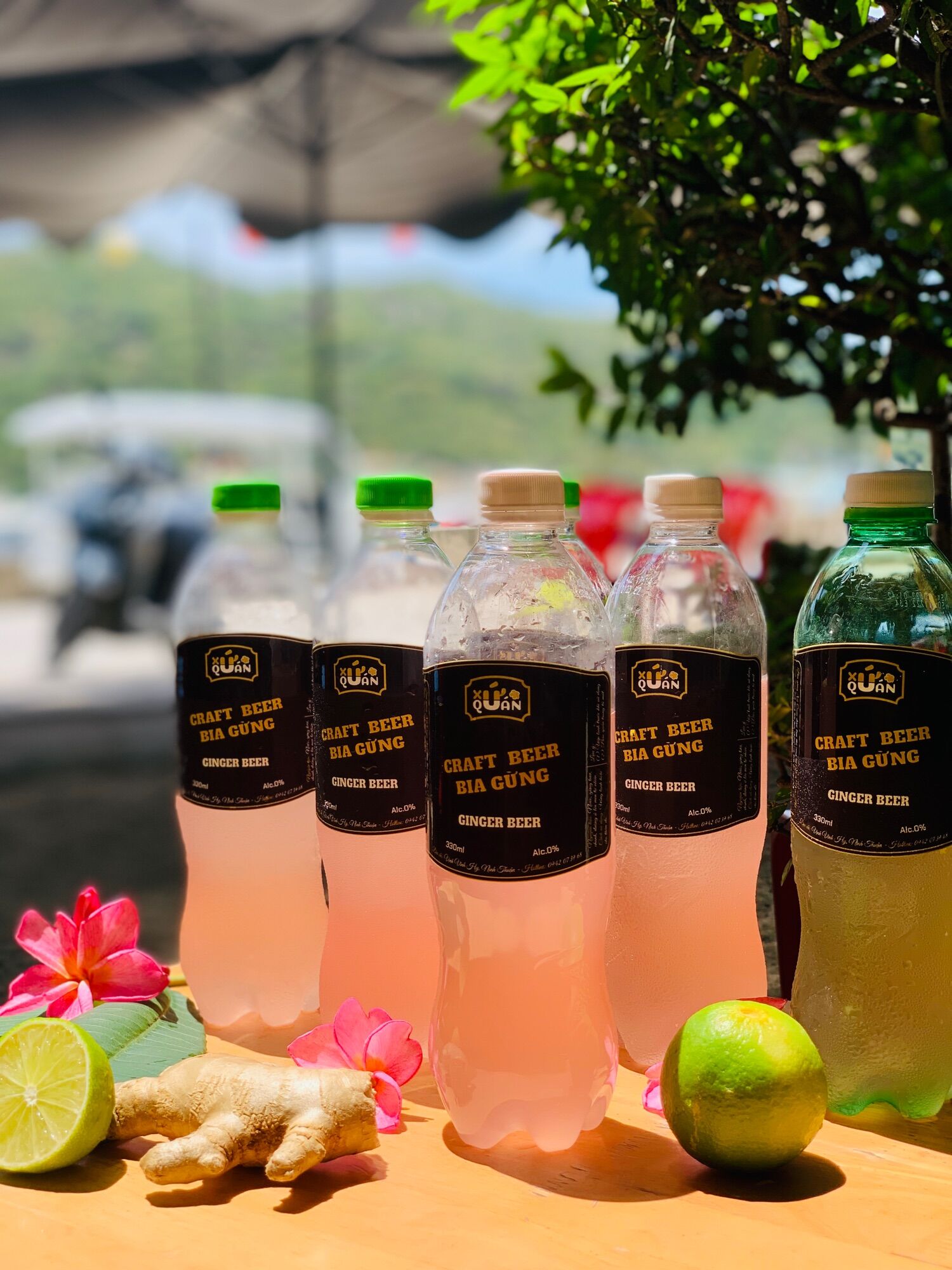 Bia gừng thủ công - Gingger bia không cồn