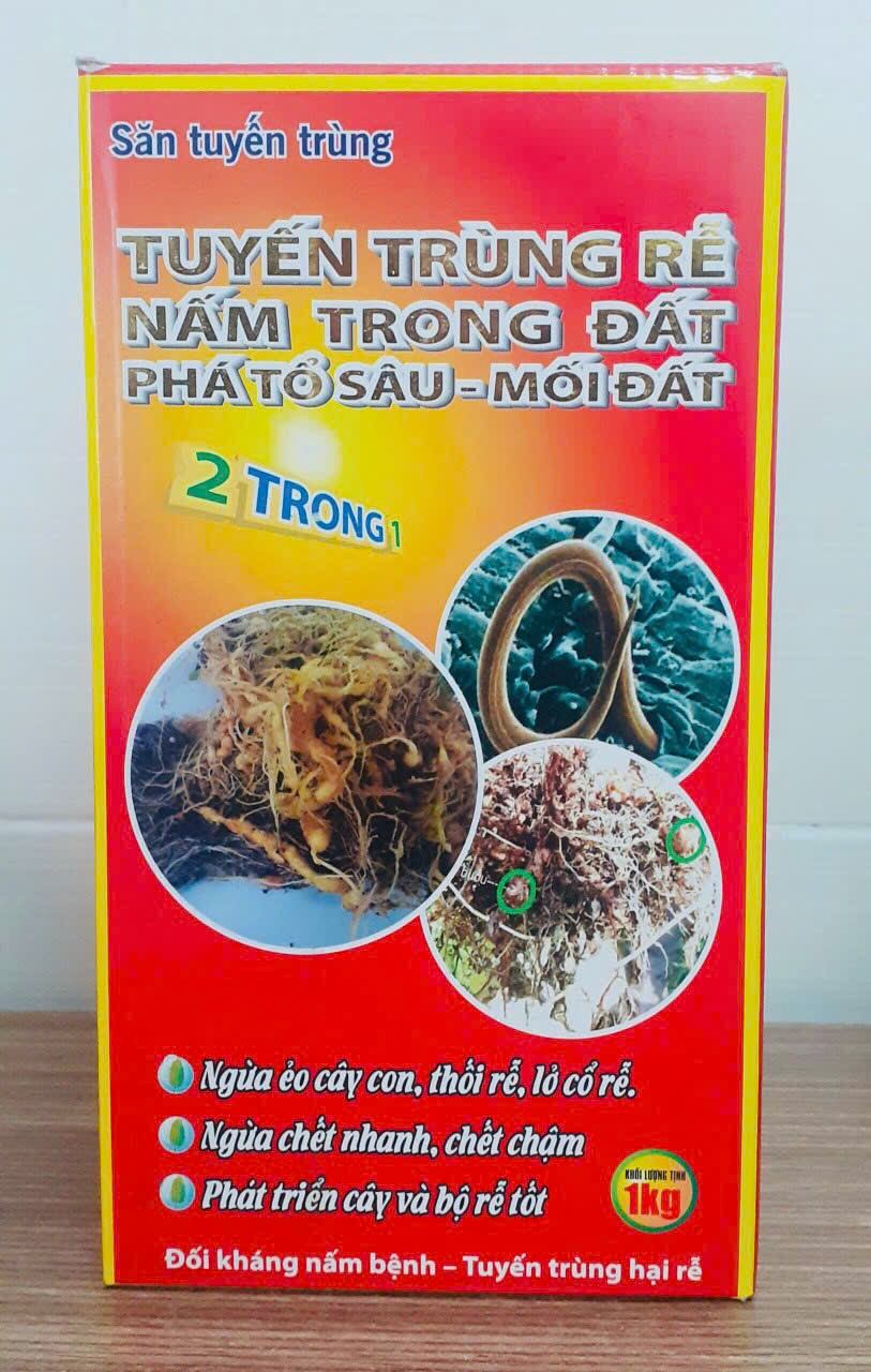 TUYẾN TRÙNG RỄ hộp 1kg 

* trị các Nấm gây hại cây trồng : phytopthora , furasium , Rhizoncotina …. Là nguyên nhân gây ra các bệnh : nứt thân xì mủ , vàng lá thối rễ , lỡ cổ rễ , vàng lá , xoắn lá , chết mầm …. 
• Cây còi cọc , héo